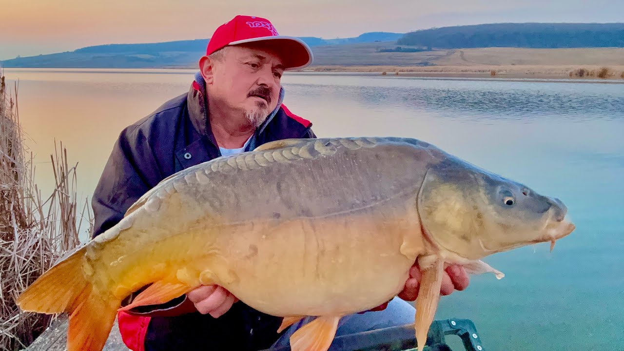 Crapul după dezgheț la method feeder – unde îl găsim? Bradeni reloaded!!!