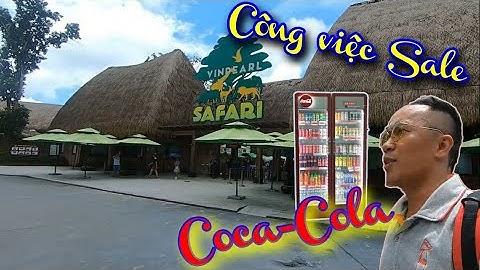 Quá trình đánh giá công việc của coca cola năm 2024