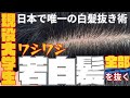 『白髪抜き動画』現役大学生のワシワシ白髪を全部抜く日本で唯一の白髪抜き技術。当店は「他店」からは出来ませんと言われてます、他店では出来ない事をしています。他店では当店の様な期待や結果を望まないで下さい