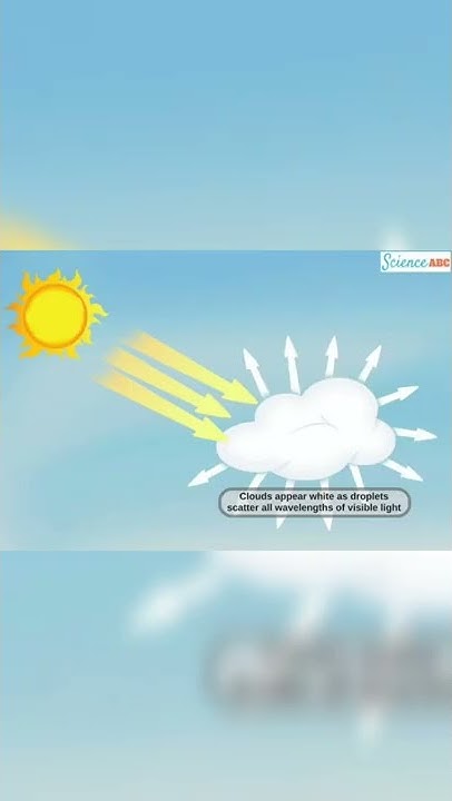 why-do-clouds-appear-white-shorts-ytshorts-science-tamil-facts