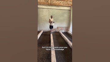 See how we are converting maggots for alternative animal feed and organic fertiliser