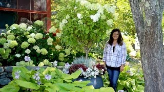 Large Container Arrangement // Garden Answer