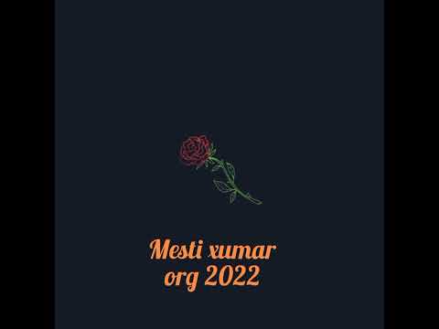 Mesti xumar org 2022