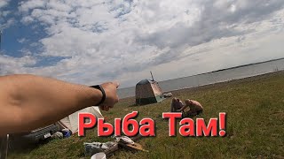 видео: Отдых На Селете! И Рыбная Рыбалка На Кружки! картинка: Отдых На Селете! И Рыбная Рыбалка На Кружки!