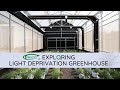 Cannabis demo greenhouse built by trinog greenhouse