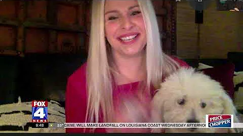 Brand New Ideas To Pet Proof Your Home!  Jill Tran...