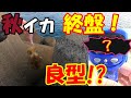 【エギング】シーズン終盤の良型秋イカを狙う！！