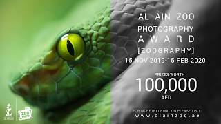 Al Ain Zoo Photography Award | Zoography 2019