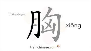 How to write 胸 (xiōng) – chest – stroke order, radical, examples and spoken audio