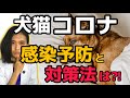 【獣医師解説】コロナと戦うー感染したらどうすればいい⁈ 新型コロナ感染予防や対策法ー　 2020/5/10