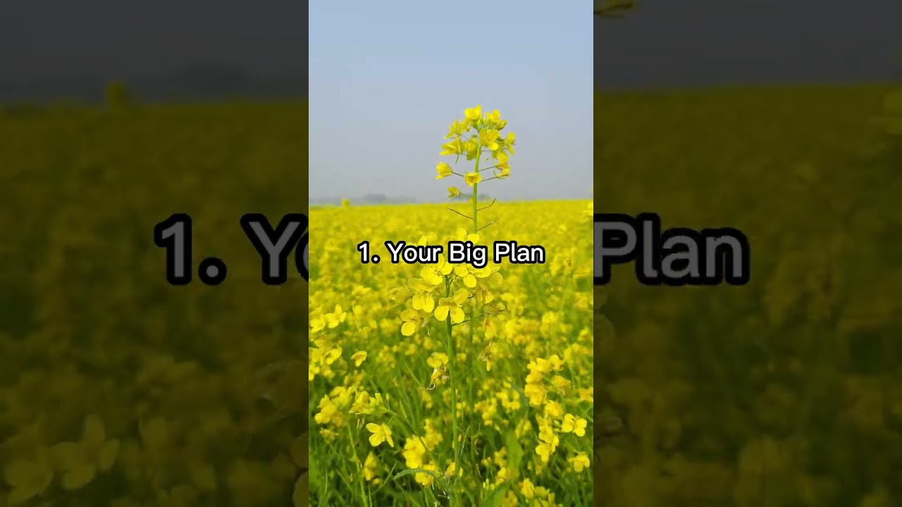 Things you should be quiet about! Brag on anything expect those things. 