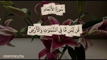 #سورة_الأنعام #القارئ: عبدالملك الراجح