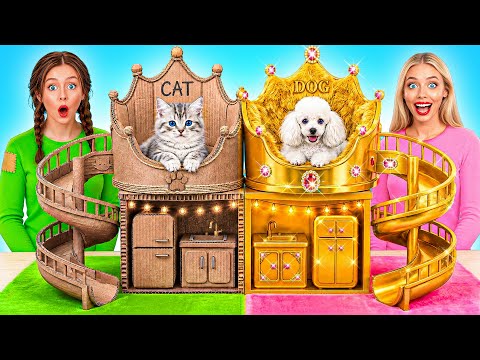We Build Secret Rooms for Pets | Rich Dog vs Poor Cat by Candy DO