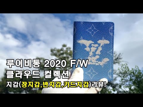 루이비통 신상 2020 FW 지갑 (장지갑,반지갑,카드지갑) 리뷰!