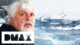 The Sea Shepherds Attempt An Attack On The Shonan Maru II | Whale Wars