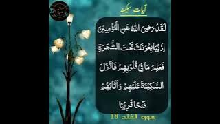 Ayat E Sakina || ayat of tranquility - Sakinah