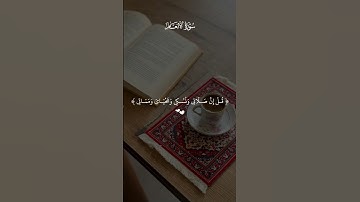 قل إنني هداني ربي إلي صراط مستقيم #ماهر_المعيقلي #سورة_الأنعام #قرآن #قران_كريم