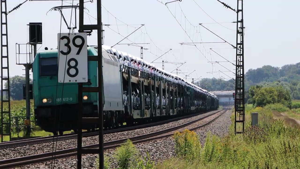 TSN#85 Osterhofen am 31.07.24 Teil 2