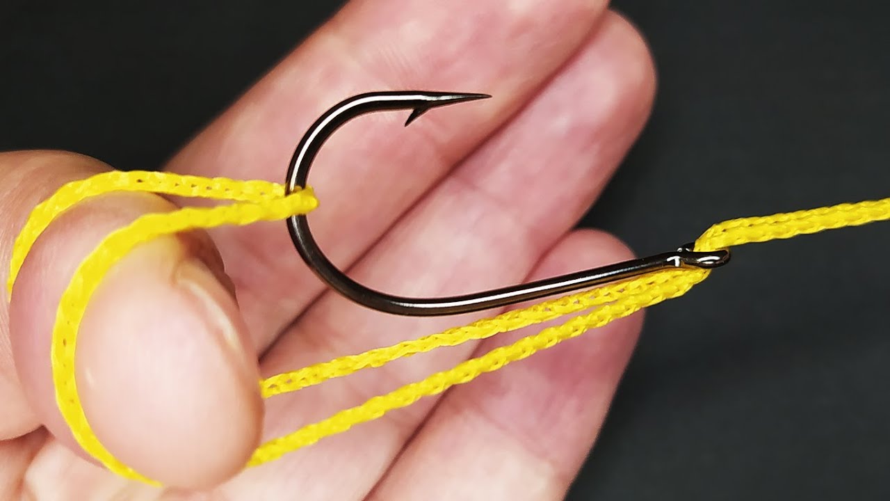 These are the fishing knots you need to know. Fishing hook knots. YouTube