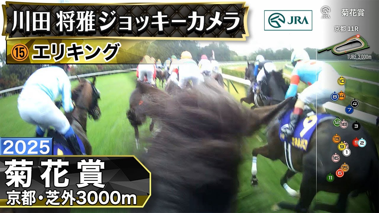 2025年第86回菊花賞 JRAがジョッキーカメラ映像を公開 川田将雅騎手