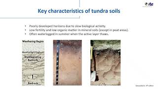 Major Biomes Boreal And Tundra