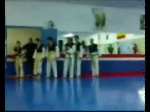 Hapkido. Resumen hasta ahora