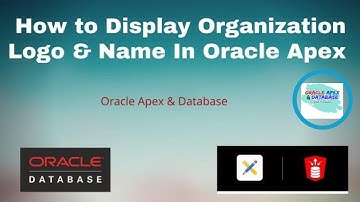 How Can Display Organization Logo & Name In Oracle Apex