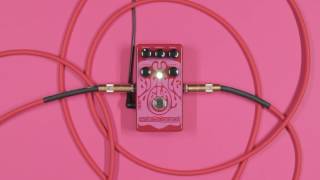 Catalinbread Bicycle Delay