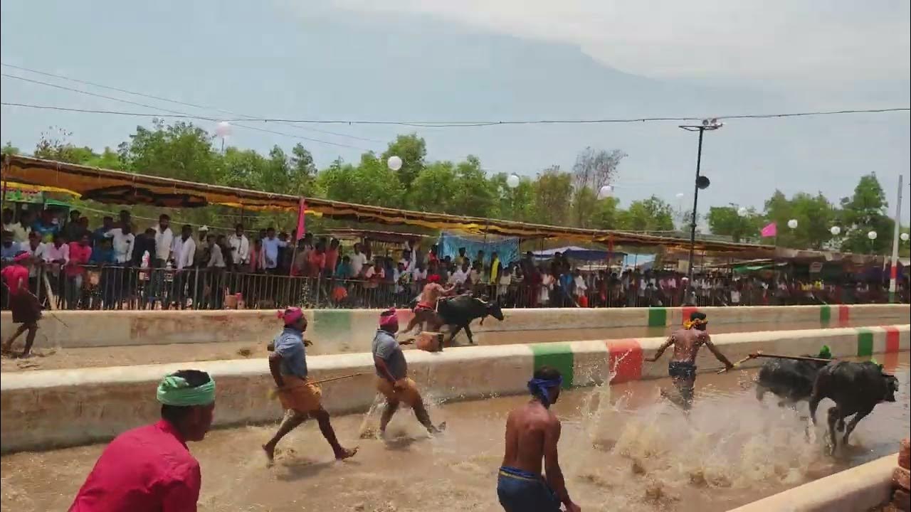 Kambala Naringana Ullala Mangalore 2023 - YouTube