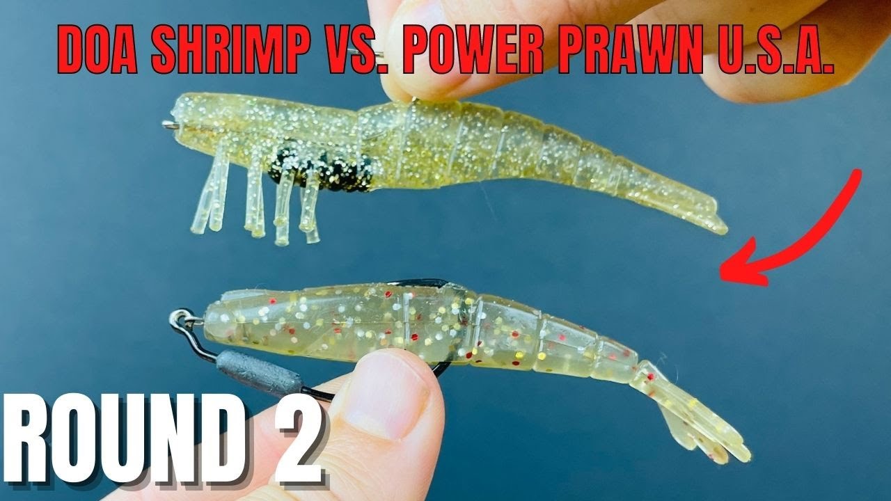 DOA Shrimp vs Power Prawn USA