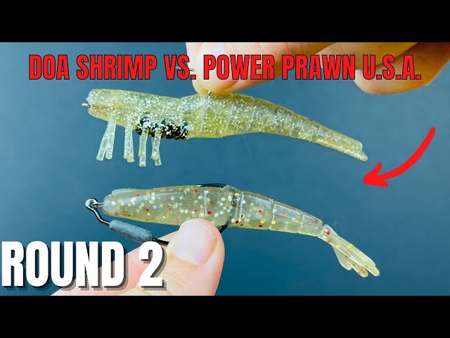 DOA Shrimp vs Power Prawn USA [Round 2] 