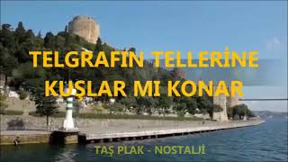 TELGRAFIN TELLERİNE KUŞLAR MI KONAR Resimi