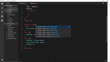 3. The Vue CLI 5  Scoped CSS