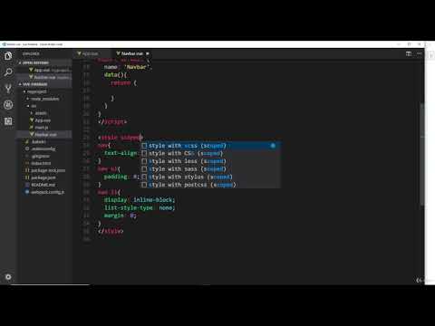 3. The Vue CLI 5  Scoped CSS