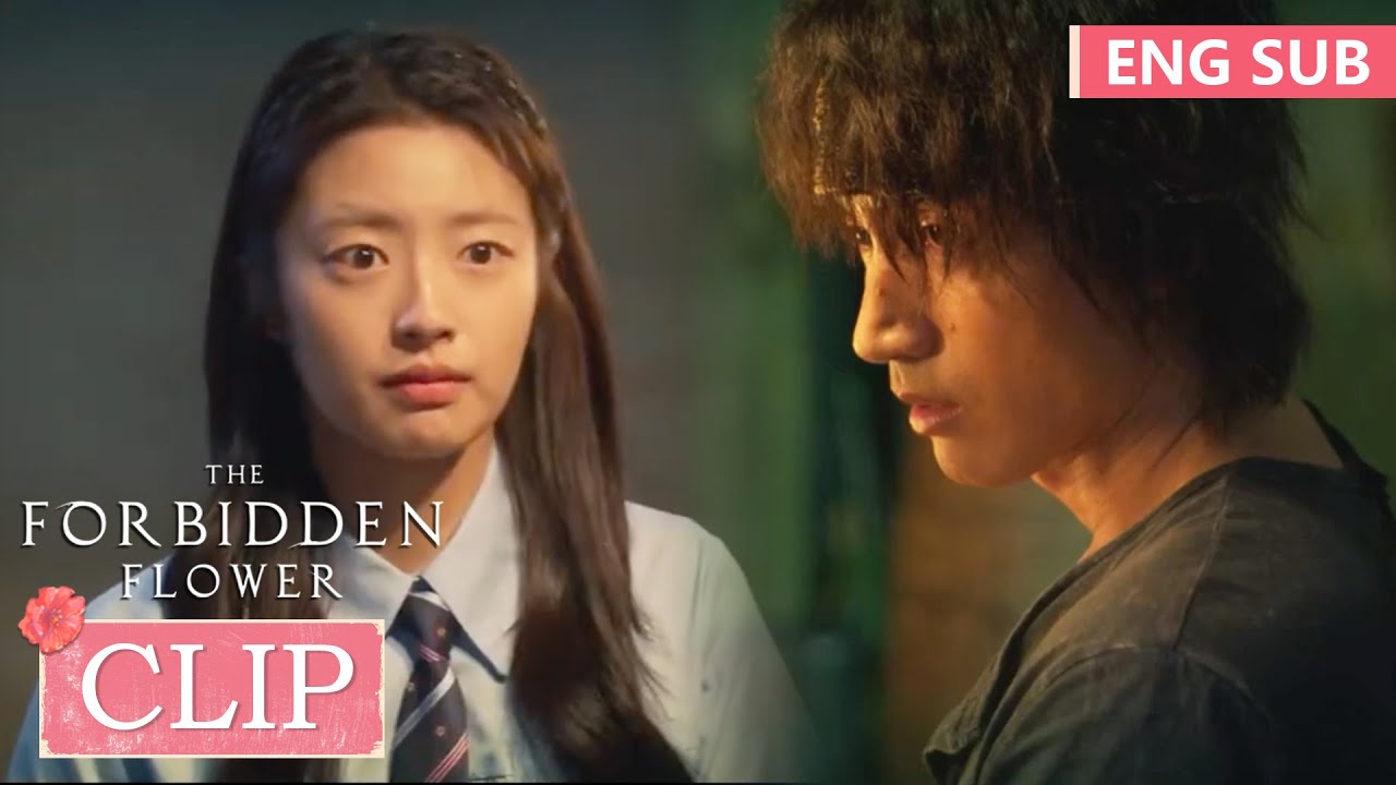 何冉心痛离去!心心念念的人竟然有女朋友?!|《夏花 The Forbidden Flower》精彩片段 EP02 (ENG SUB ...