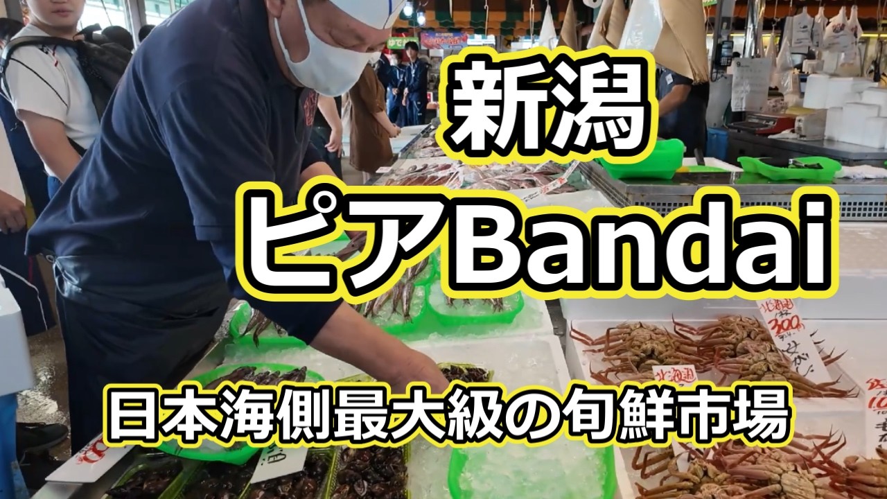 【新潟】ピア万代 日本海側最大級の旬鮮市場　新潟にある市場　ピアBandai　海鮮 お野菜【浜焼き‣朝市も】高コスパ最強