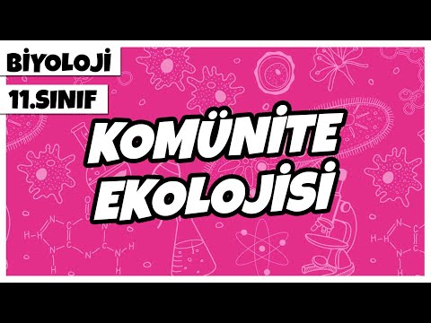 11. Sınıf Biyoloji - Komünite Ekolojisi | 2022