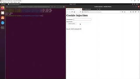 Write an application vulnerable to Cookie Injection