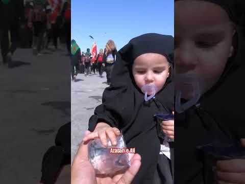 أمشي الرادود خضر عباس قصيدة للمشاية خضر عباس   