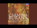 Miniature de la vidéo de la chanson Carmina Burana: Fortuna Imperatrix Mundi: O Fortuna