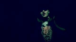 Reggie Blaze - LMK (Official Video)