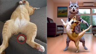 Funniest Cats and Dogs Videos 😂 | Funny Animals Videos | Best of 2024 Funny Animals Videos by Xz Ani No views 4 days ago 1 minute, 33 seconds