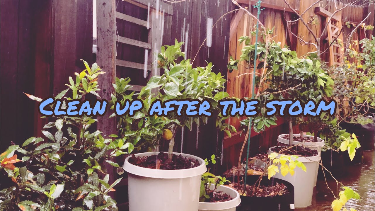 Clean up after the storm 2023 !! Vlog - YouTube