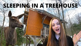 Sleeping in a treehouse in Canada + last days in New York vlog | Edukale by Edukale by Lucie 945 views 9 days ago 8 minutes, 41 seconds