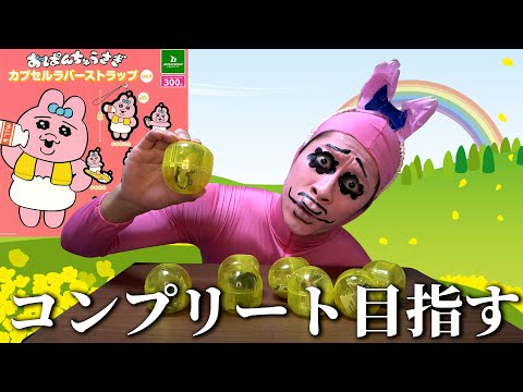 Gachapon] Opanchusagi-san is aiming to complete her own