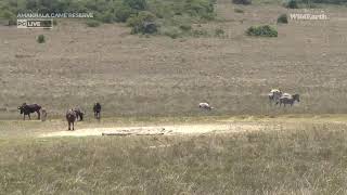 Escape To Nature - 06 February 2023