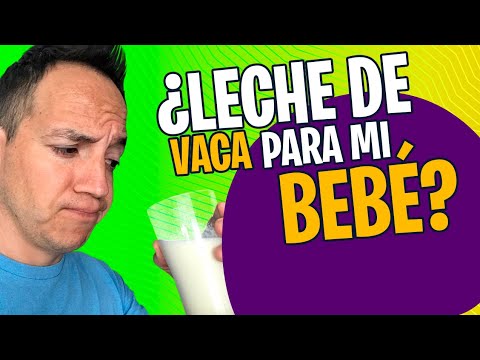 Video: ¿Se debe diluir la leche de vaca para los bebés?