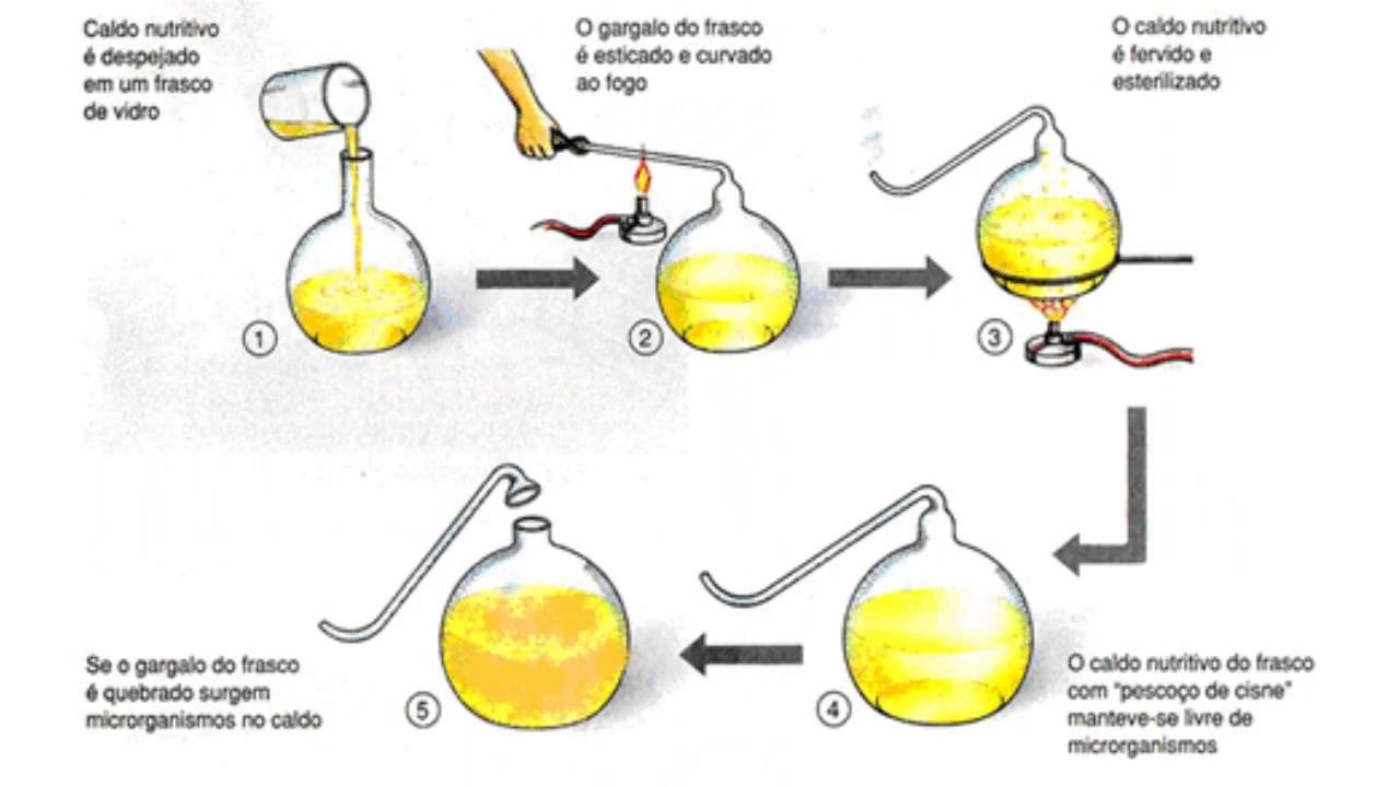 Explique As Teorias Da Abiogenese E Biogenese