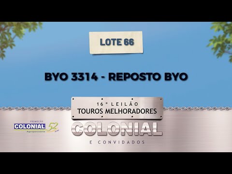 LOTE 66 BYO 3314