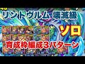 【パズドラ】リントヴルム降臨 壊滅級 スキル上げ一枚抜き編成3パターン ソロ周回【ラオウ】元パズバト全国１位ノッチャが老眼に負けず頑張る動画 vol.412